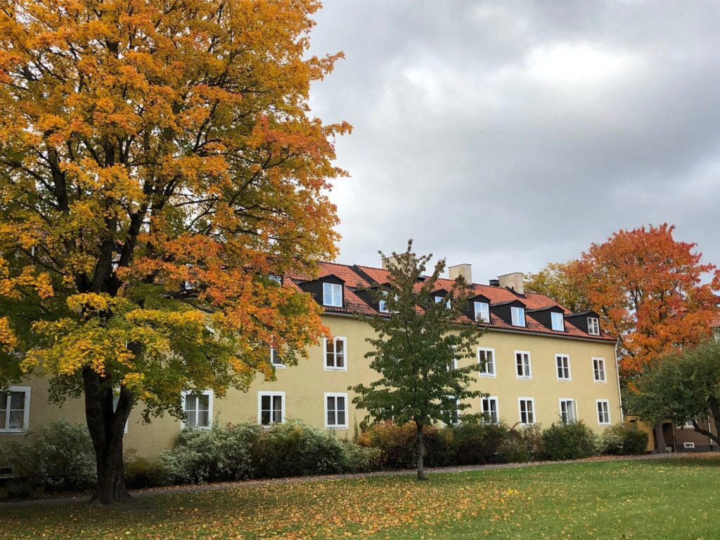 Bild på Gamla Studentstadens gula 50-talshus omgiven av höstträd.